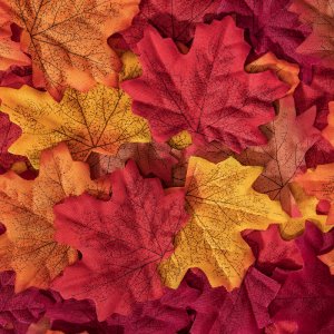 Bassion 1000 Pcs Fake Fall Leaves, Artificial Maple Leaves for Fall Decor Thanksgiving Decorations, Autumn Leaf Table Decor Fall Wedding Decorations